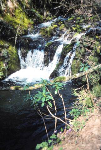iguebrun