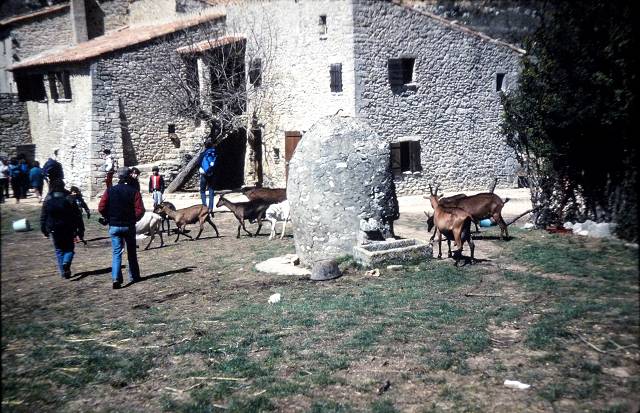 Sivergues