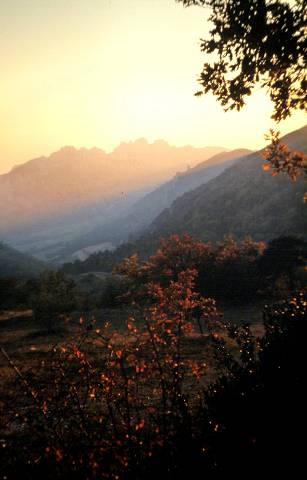 Dentelles