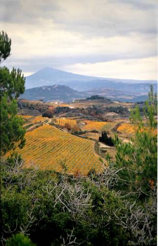 Dentelles