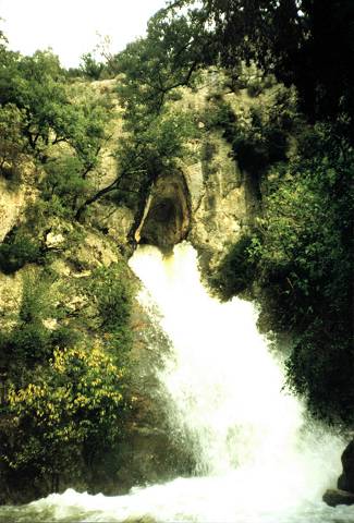 Bornègre