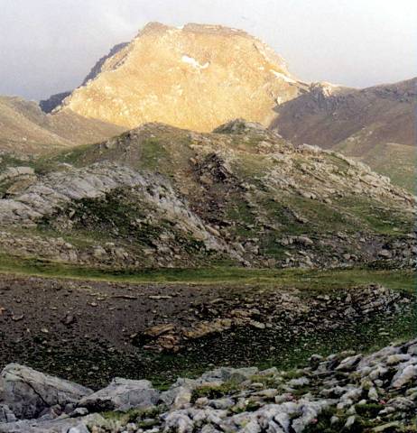 Vautisse