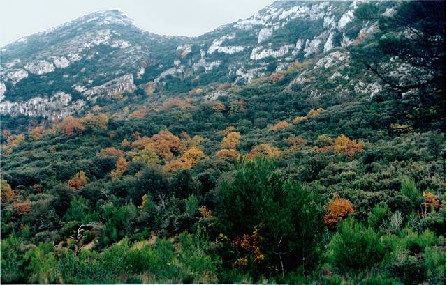 La Nible