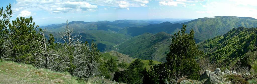 paysage2