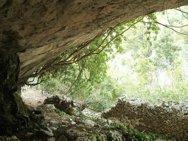Baume du Chat 3