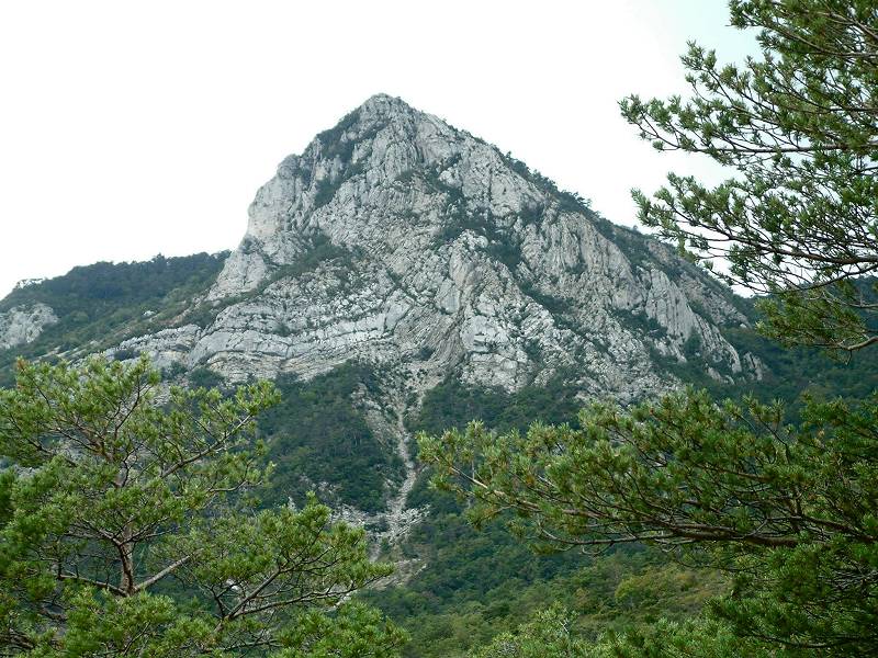 Le Cougoir
