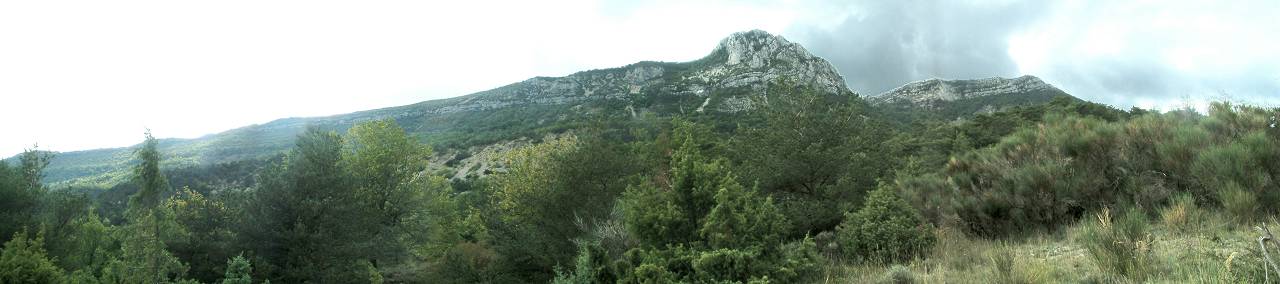 Le Cougoir