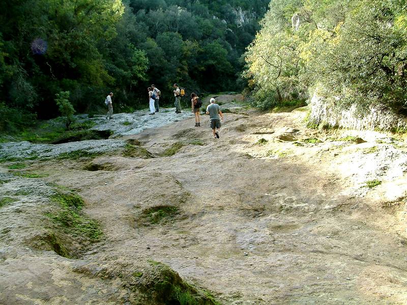 Lit de l'Aiguillon
