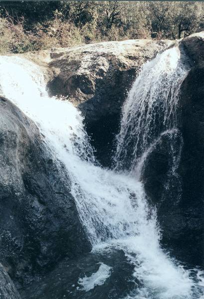 cascade 98