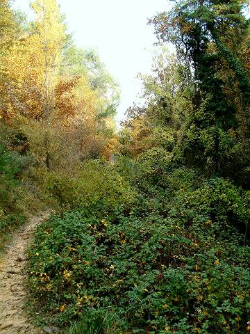 combe des amoureux