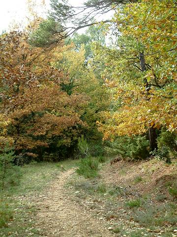 combe des amoureux
