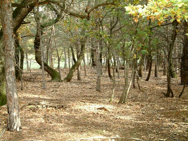 combe des amoureux