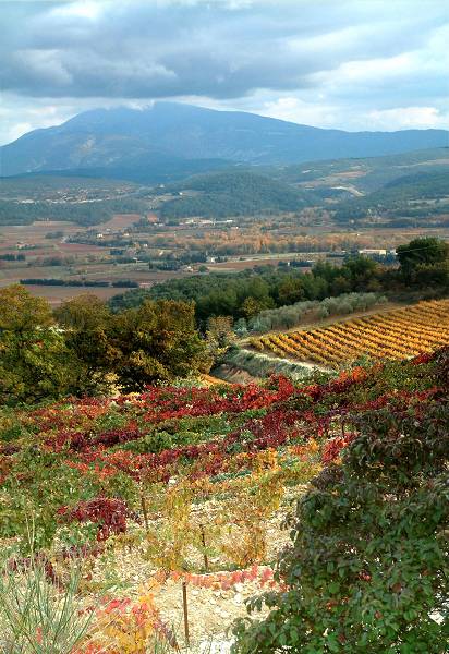 Ventoux