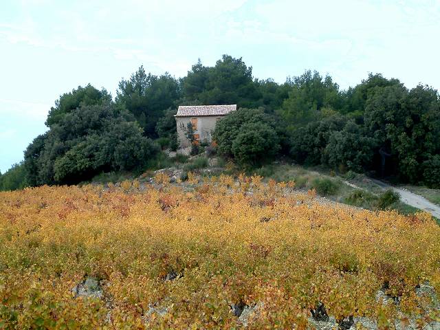 cabanon
