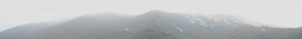 Brouillard