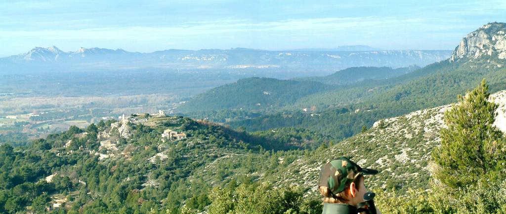 Alpilles
