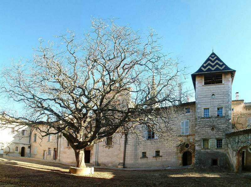 Chartreuse 2