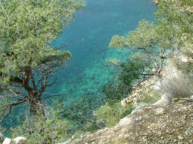 mer