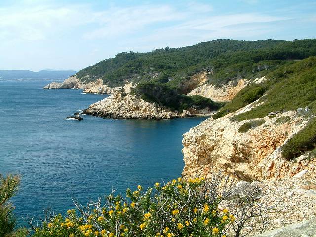 côte