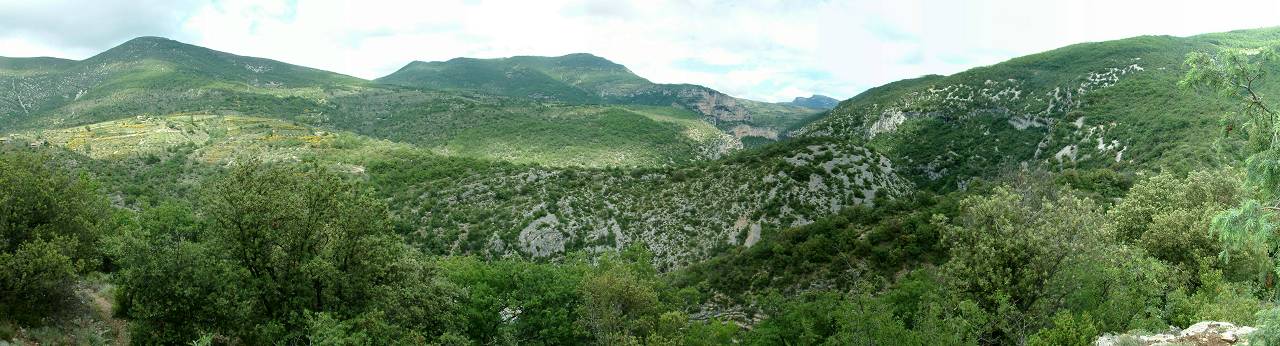 paysage