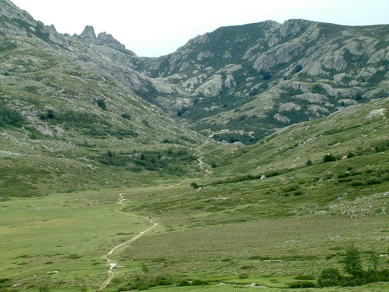 Manganu lau fond