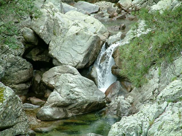 torrent 2