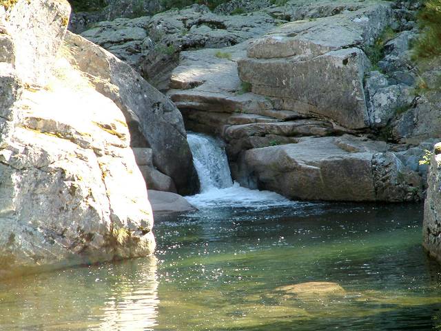 torrent 3