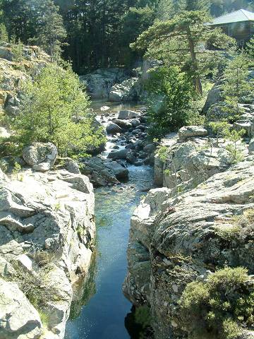 torrent 4