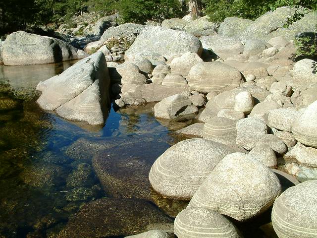 torrent 7