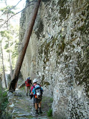 sentier