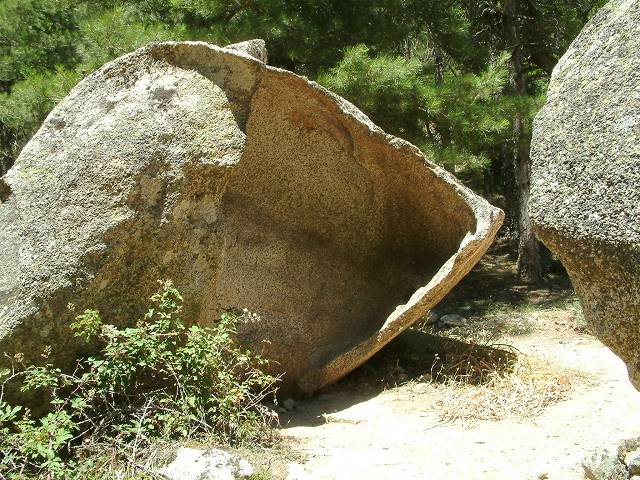 conque naturelle