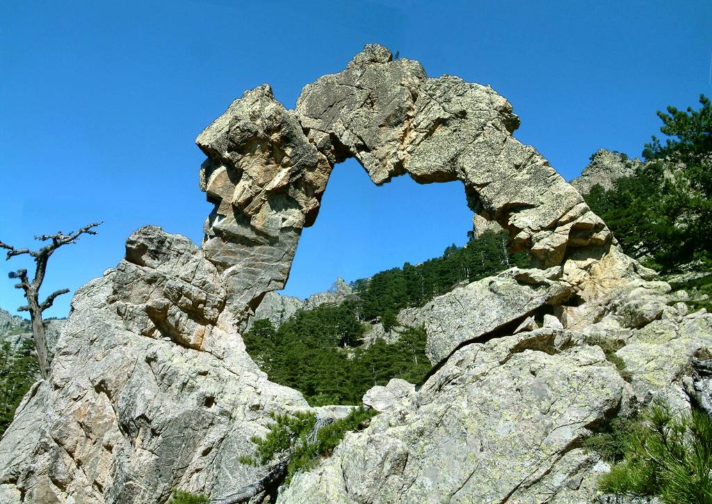 arche2