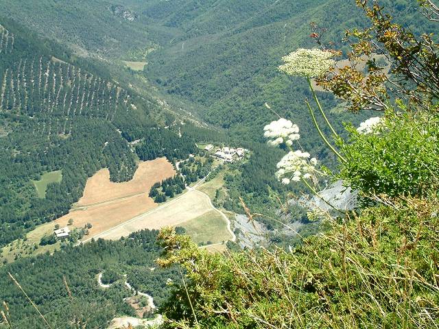 vue plongeante
