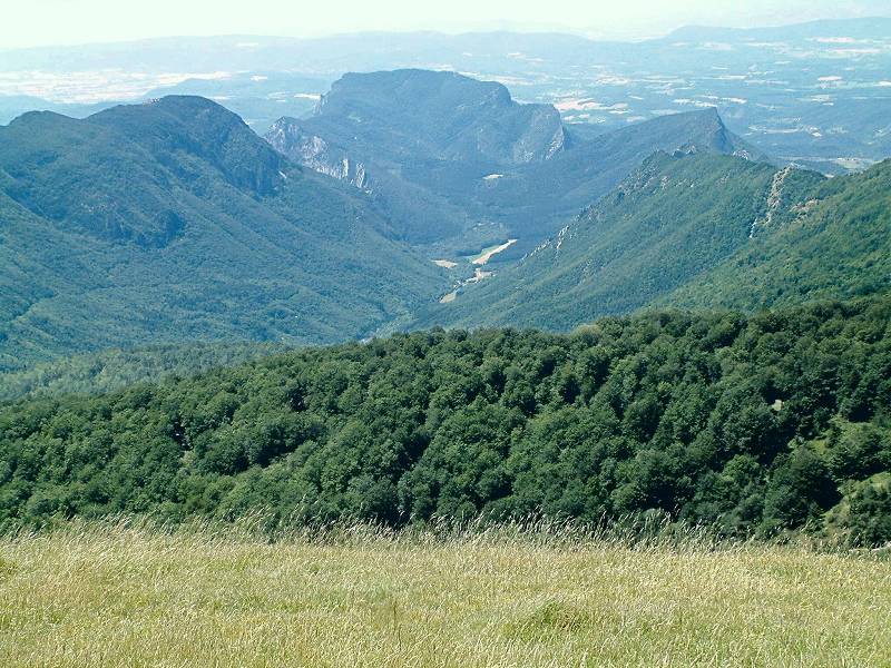 Forêt de Saoû