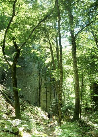 gorges