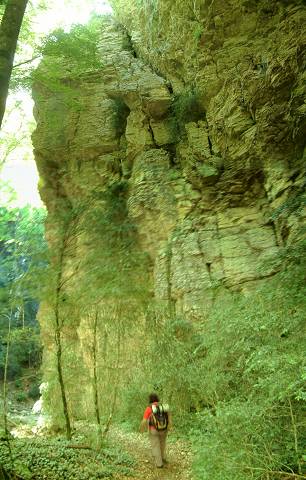 gorges