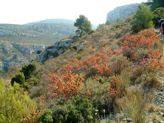 automne