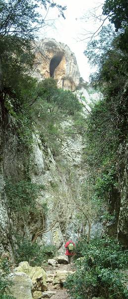 Rgalon 7