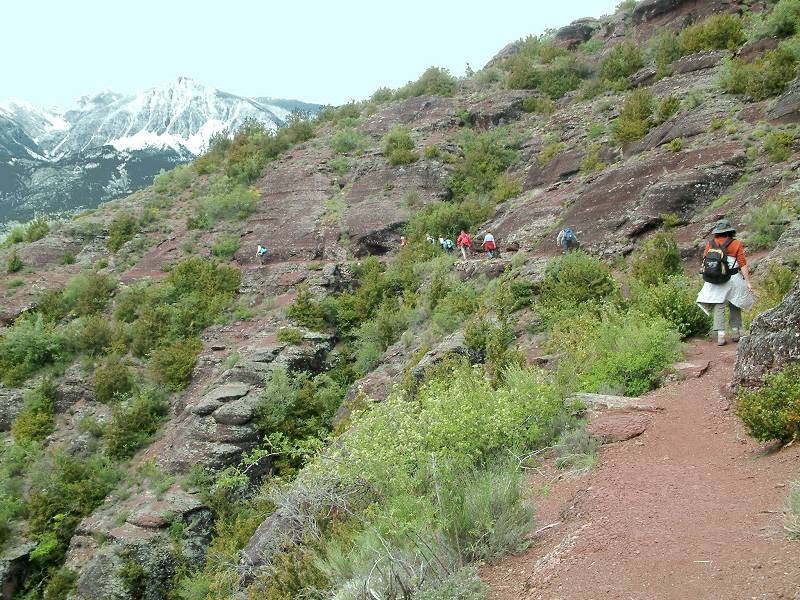sentier