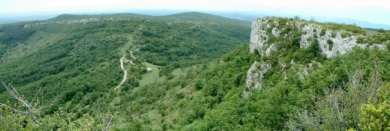 panorama