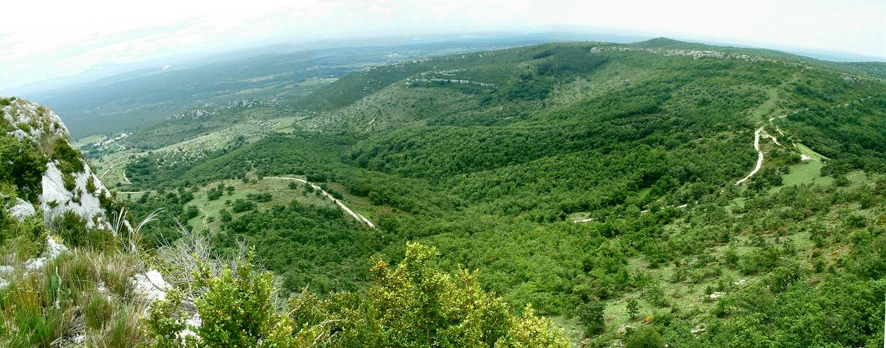 panorama