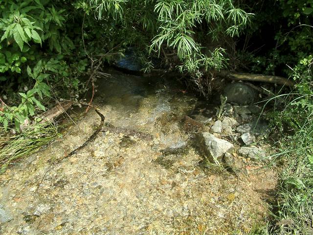 ruisseau