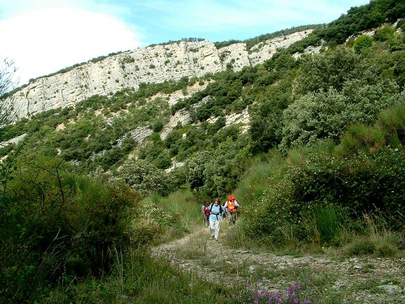 falaise