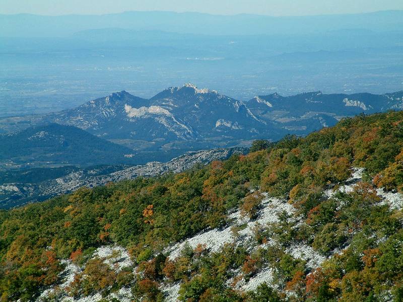 Dentelles de Montmirail