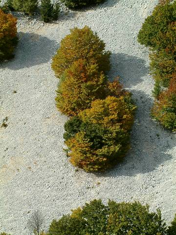 automne