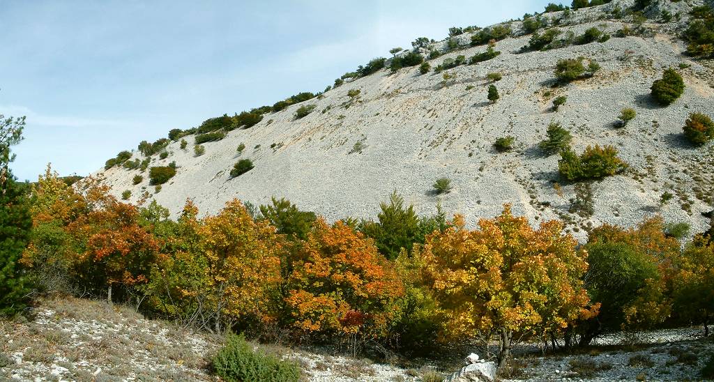 automne