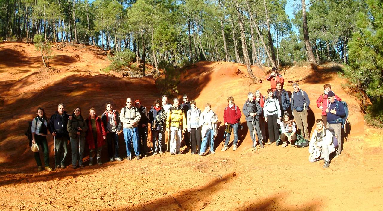 Les Rostides : Groupe