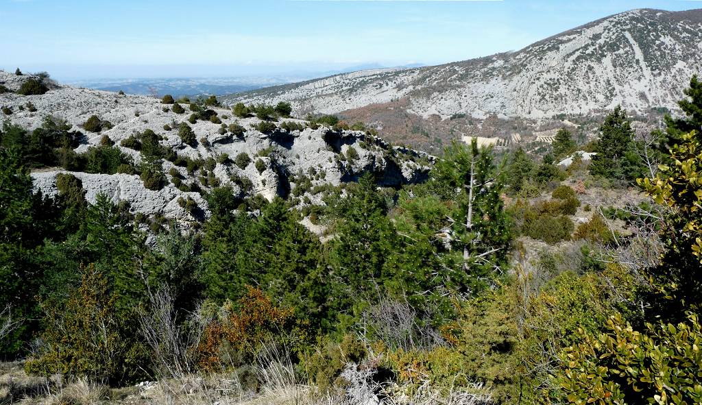vue