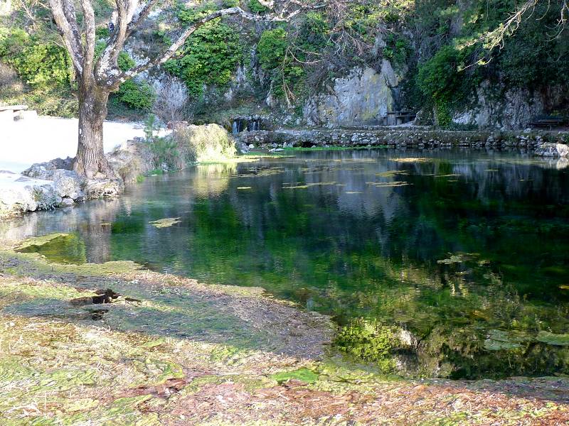 Source du Groseau