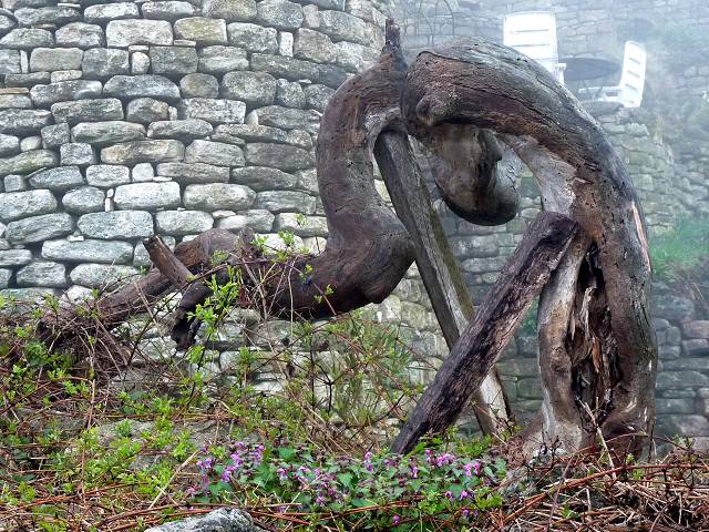 arbre